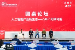 伴跟着人工智能的合用范畴不竭 